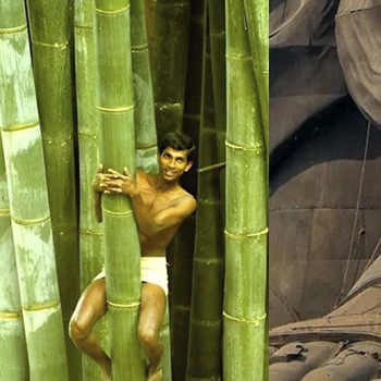 ¡Colosos del Mundo! Comparaciones Asombrosas que Harán que el Humano Parezca Miniatura